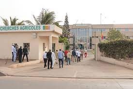 Communiqué: Le SARAA met en lumière les retards et les incertitudes