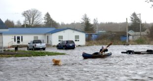 Climat et environnement: Inondations et sécheresse, les défis liés à l’eau