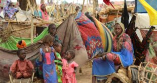 image1170x530cropped 8 1