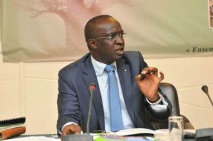 Orientations Budgétaires et Fiscales du gouvernement: ONG 3D