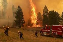 Hawaï : Explication des incendies explosifs qui ravagent Maui