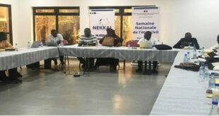 xPPP3 2.jpg.pagespeed.ic .Rr4pWdgzu e1692373646125