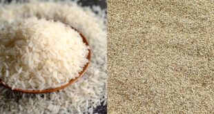 Autosuffisance en riz: La facture salée des importations incitera-t-elle les pays d’Afrique