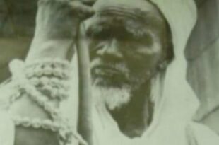 Religion: El Hadj Oumar Tall, une épopée spirituelle partie de Halwar