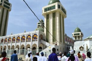 Gamou 2023: Les disciples entreprennent le nettoyage de la grande mosquée de Médina Baye