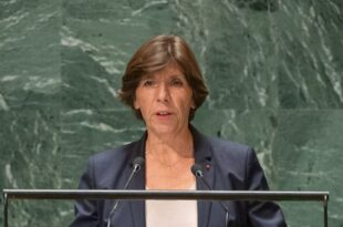 Crises africaines: La France déclare croire aux solutions africaines