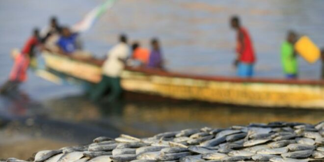 Rufisque: Urgent! Il y'a eu des conflits Mortels entre Pêcheurs et Candidats à l’Émigration