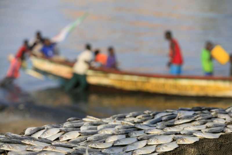 Emigration Clandestine: L’école "Tamsir Demba Sall" de Mbour touché 1 Rufisque: Urgent! Il y'a eu des conflits Mortels entre Pêcheurs et Candidats à l’Émigration