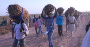 Démarrage des travaux des champs de "Khelcom": L'appel aux disciples