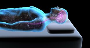 Communication durant le sommeil: Des chercheurs font une étonnante découverte