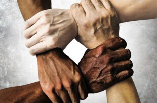 Lutte contre le racisme et les discriminations: Le Réseau des écrivains, intellectuels, et artistes africains mis en place 8 Lutte contre le racisme et les discriminations: Le Réseau des écrivains, intellectuels, et artistes africains mis en place