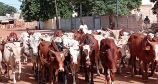 Linguere : Abdoulaye Sylla au chevet des chefs religieux