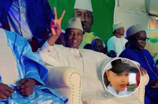 WhatsApp Image 2023 10 09 at 11.05.07