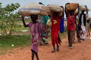 image1170x530cropped 1