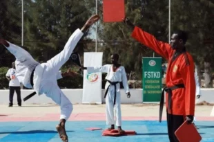 18625714lpw 18629263 embed libre jpg 6165549 1