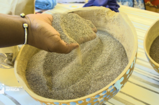 210105094829 marketplace africa senegal fonio export spc 00001401 super 169