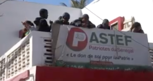 53935884 40703003 e1701267106345