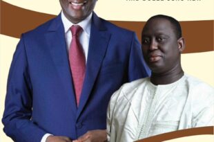 IMG 20231108 WA0056 1