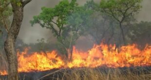 WhatsApp Image 2023 11 20 at 09.58.33