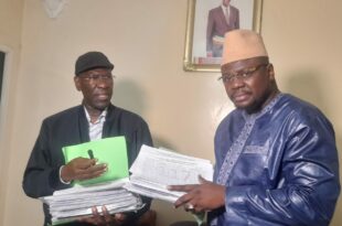 cheikh thiam et timbo