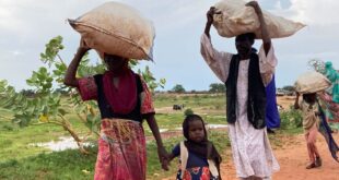 image1170x530cropped 3