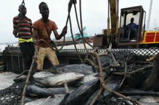 Convention de la pêche de 1976: La plateforme des organisations syndicales du secteur exige sa révision