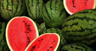 30247f5515 50035819 pasteque cc