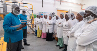 Mieux manger pour mieux vivre: Les recommandations de "Nestle Sénégal"