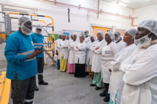 Mieux manger pour mieux vivre: Les recommandations de "Nestle Sénégal"