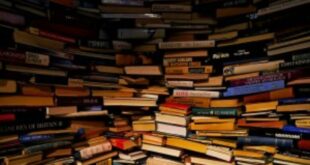 WhatsApp Image 2023 12 08 at 14.39.39