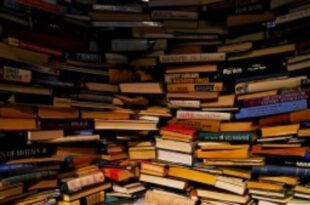 WhatsApp Image 2023 12 08 at 14.39.39