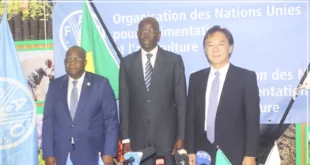 Secteur de la pêche: Le Japon octroi une enveloppe de 1, 12 milliard