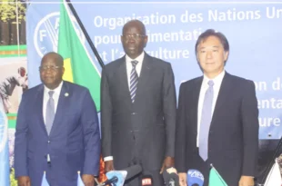 Secteur de la pêche: Le Japon octroi une enveloppe de 1, 12 milliard