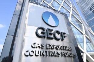 7e Sommet du Forum des pays exportateurs de gaz