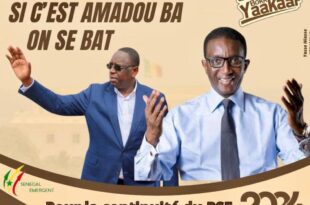 Amadou ba affiche