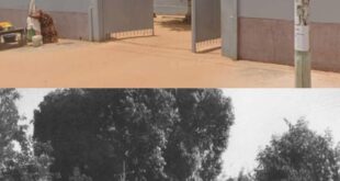 FB IMG 1710243086987