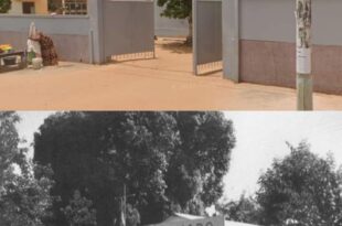 FB IMG 1710243086987