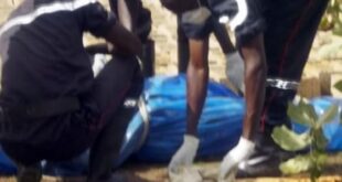 bc81807943a3e08c87b090e044fb751838566a10