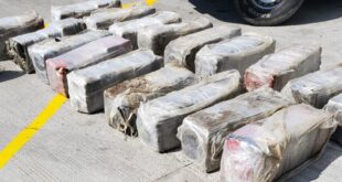 image1170x530cropped 1