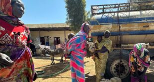 image1170x530cropped 4