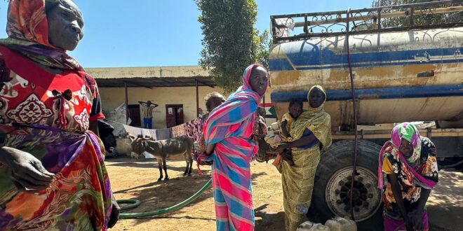 image1170x530cropped 4