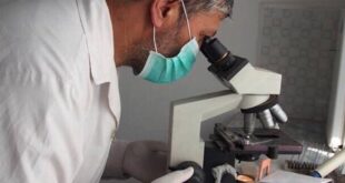 image1170x530cropped 9