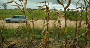 738x415 cmsv2 8f218abc ccd4 5116 8225 03d671f545ff 8386300