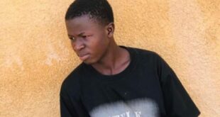 79880841 57766947 e1714395108530