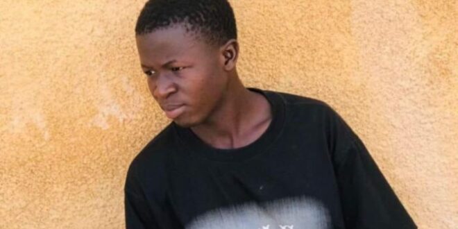 79880841 57766947 e1714395108530