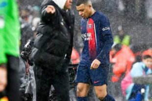 FB IMG 1711973145297