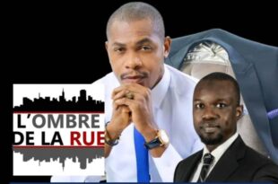 cameroun 913x1024 1 e1711980068402