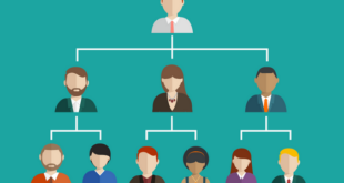 hierarchie entreprise 2