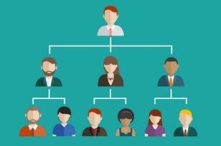 hierarchie entreprise 2