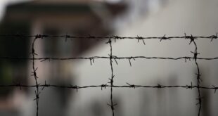 image1170x530cropped 1 1